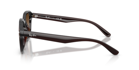 Ray-Ban RB4458D 714/13 - 65 - Güneş Gözlükleri