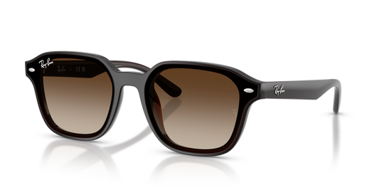 Ray-Ban RB4458D 714/13 - 65 - Güneş Gözlükleri