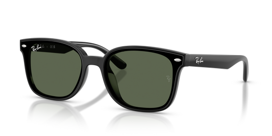 Ray-Ban RB4461D 601/71 - 64 - Güneş Gözlükleri