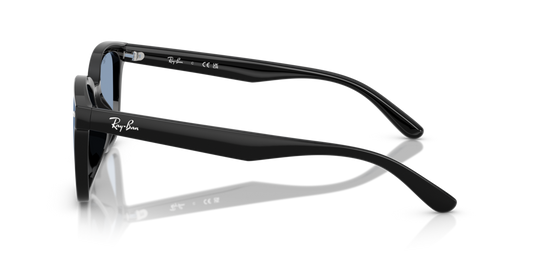 Ray-Ban RB4461D 601/80 - 64 - Güneş Gözlükleri