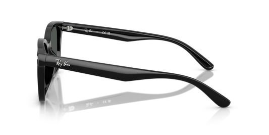 Ray-Ban RB4461D 601/87 - 64 - Güneş Gözlükleri