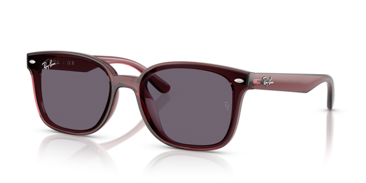 Ray-Ban RB4461D 659373 - 64 - Güneş Gözlükleri