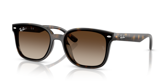 Ray-Ban RB4461D 710/13 - 64 - Güneş Gözlükleri