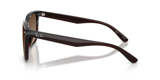 Ray-Ban RB4466D 714/13 - 47 - Güneş Gözlükleri