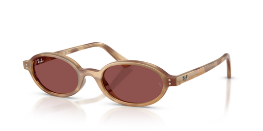 Ray-Ban RB4472 685675 - 48 - Güneş Gözlükleri
