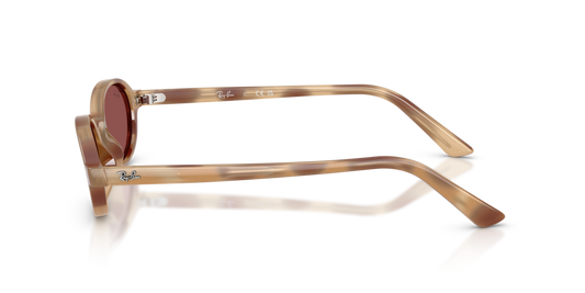 Ray-Ban RB4472 685675 - Güneş Gözlükleri