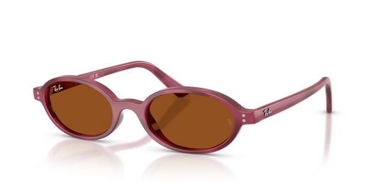Ray-Ban RB4472 685773 - 48 - Güneş Gözlükleri