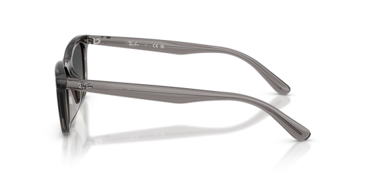 Ray-Ban RB4474D 667511 - 54 - Güneş Gözlükleri