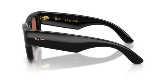 Ray-Ban RB4940 601/69 - Güneş Gözlükleri