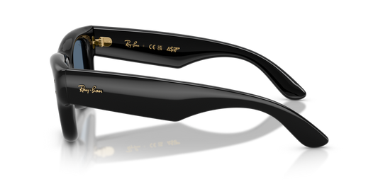 Ray-Ban RB4940 601/80 - Güneş Gözlükleri
