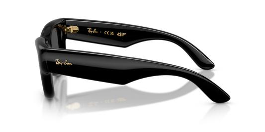Ray-Ban RB4940 601/87 - 47 - Güneş Gözlükleri