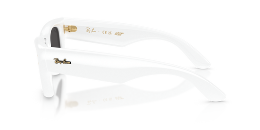 Ray-Ban RB4940 671/87 - Güneş Gözlükleri