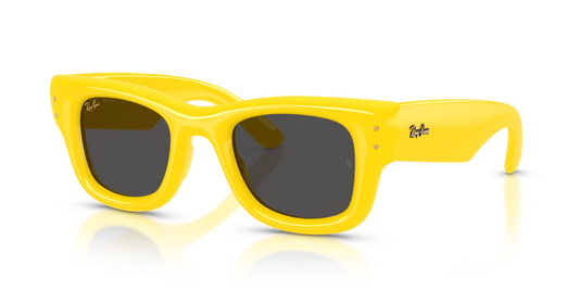 Ray-Ban RB4940 683087 - 50 - Güneş Gözlükleri
