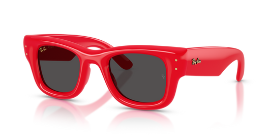 Ray-Ban RB4940 683187 - 50 - Güneş Gözlükleri