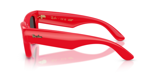 Ray-Ban RB4940 683187 - Güneş Gözlükleri