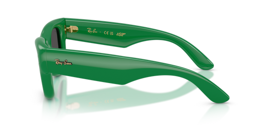 Ray-Ban RB4940 683487 - Güneş Gözlükleri