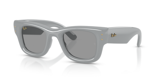 Ray-Ban RB4940 6876/1 - 47 - Güneş Gözlükleri
