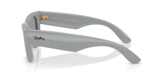 Ray-Ban RB4940 6876/1 - Güneş Gözlükleri