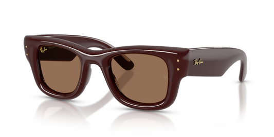 Ray-Ban RB4940 687773 - 47 - Güneş Gözlükleri