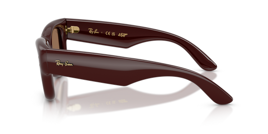 Ray-Ban RB4940 687773 - Güneş Gözlükleri