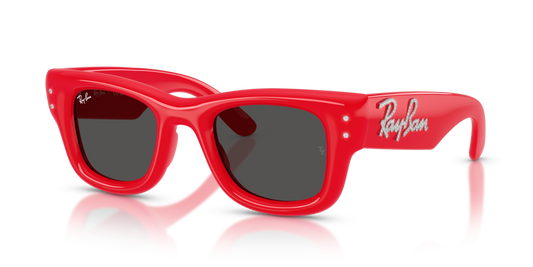 Ray-Ban RB4940B 686187 - 47 - Güneş Gözlükleri