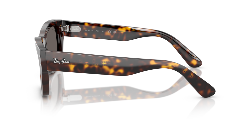 Ray-Ban RB7683S 902/B1 - 55 - Güneş Gözlükleri