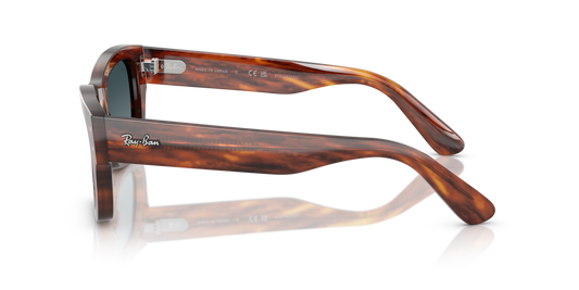 Ray-Ban RB7683S 954/S3 - 55 - Güneş Gözlükleri