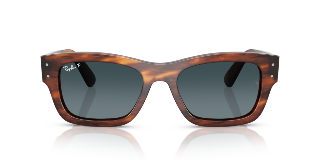 Ray-Ban RB7683S 954/S3 - 55 - Güneş Gözlükleri