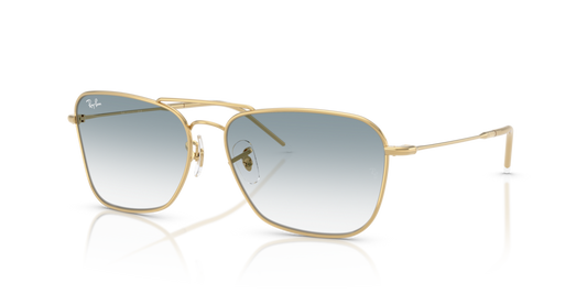 Ray-Ban RBR0102S 001/79 - 58 - Güneş Gözlükleri