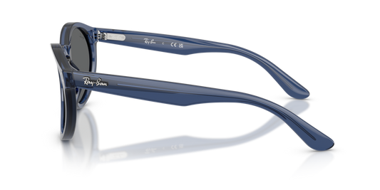 Ray-Ban RBR0505S 6708GR - 52 - Güneş Gözlükleri