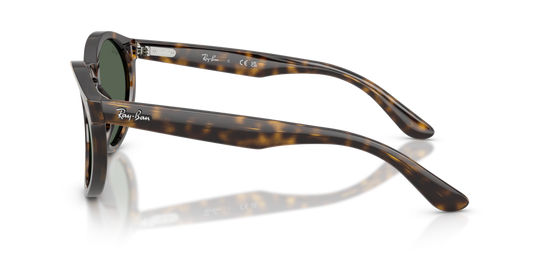 Ray-Ban RBR0505S 6790VR - 52 - Güneş Gözlükleri