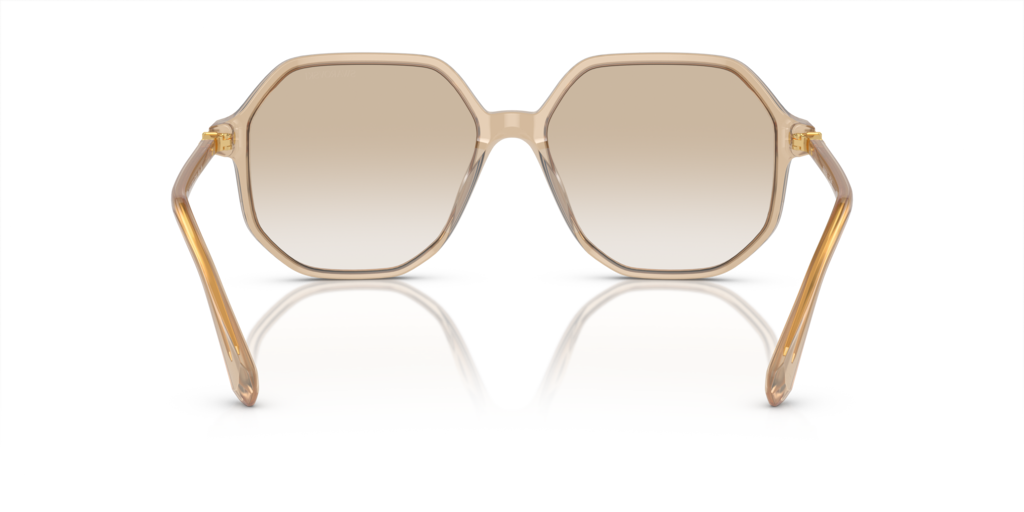 Swarovski SK6003 103411 - 57 - Güneş Gözlükleri
