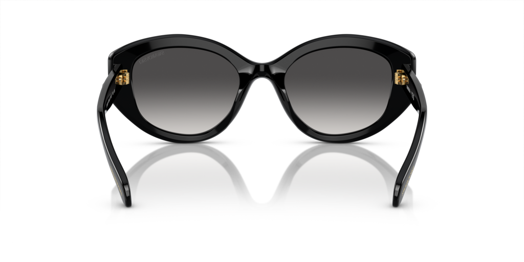 Swarovski SK6005 10018G - 53 - Güneş Gözlükleri