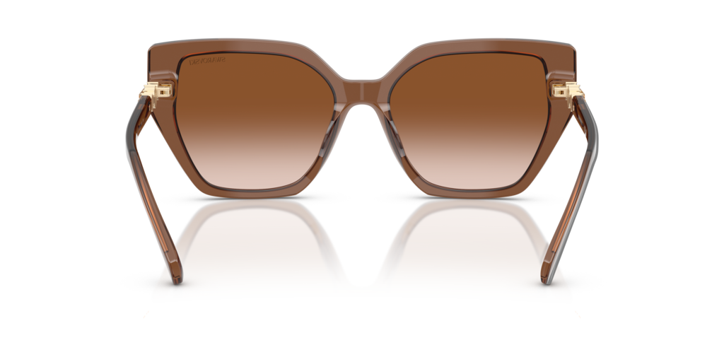 Swarovski SK6016 106713 - 56 - Güneş Gözlükleri