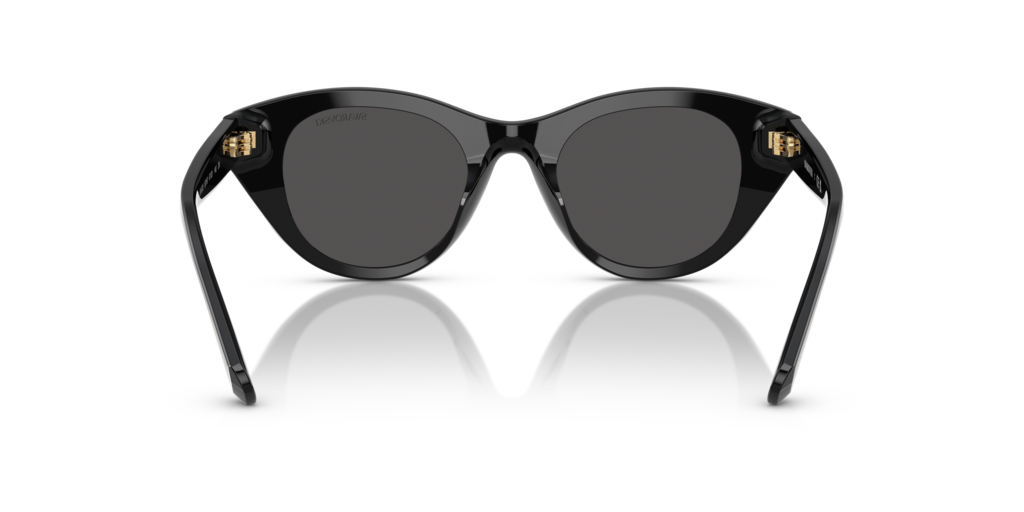 Swarovski SK6025 100187 - 47 - Güneş Gözlükleri