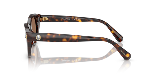 Swarovski SK6025 100273 - 47 - Güneş Gözlükleri