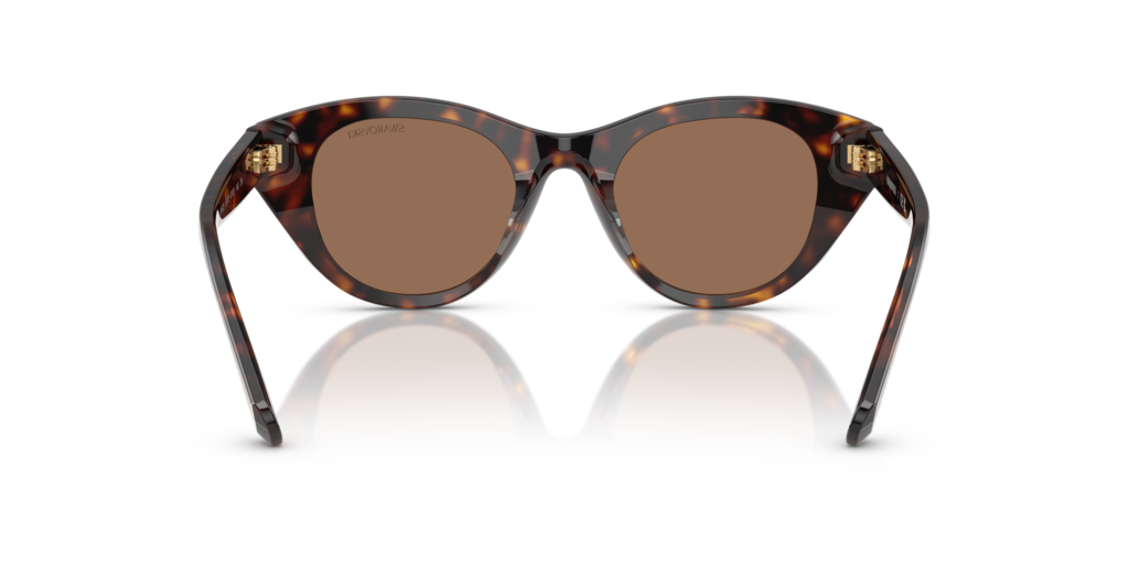 Swarovski SK6025 100273 - 47 - Güneş Gözlükleri