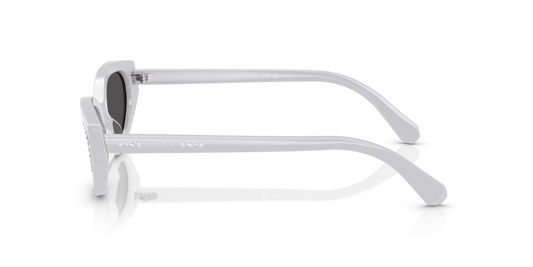 Swarovski SK6030 106087 - 52 - Güneş Gözlükleri