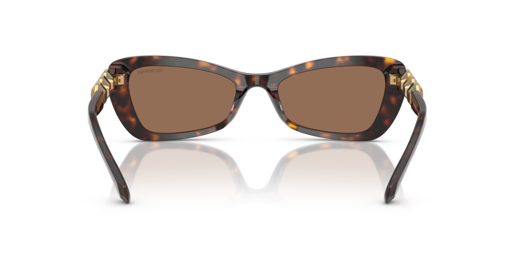 Swarovski SK6033 100273 - 54 - Güneş Gözlükleri