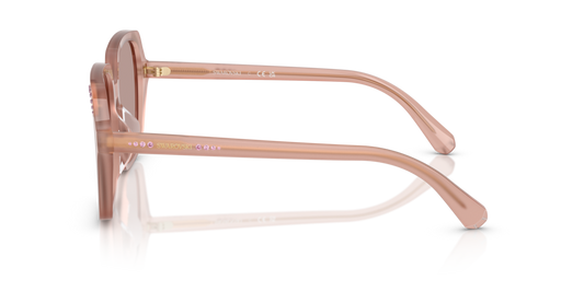 Swarovski SK6034D 10257N - 56 - Güneş Gözlükleri