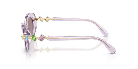 Swarovski SK6042 1079LA - 53 - Güneş Gözlükleri