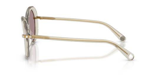 Swarovski SK6059 3003LA - 55 - Güneş Gözlükleri