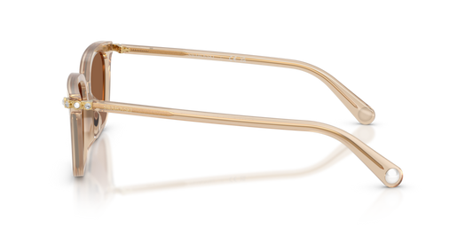 Swarovski SK6064D 1034OK - 56 - Güneş Gözlükleri