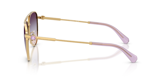 Swarovski SK7031 4036U7 - 59 - Güneş Gözlükleri