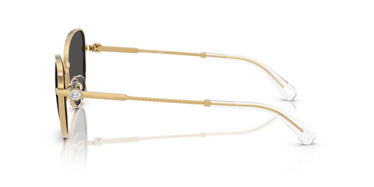Swarovski SK7032 400487 - 54 - Güneş Gözlükleri