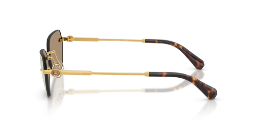 Swarovski SK7038 40077J - 58 - Güneş Gözlükleri