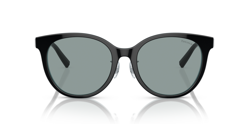 Tiffany TF4209D 8055/1 - 54 - Güneş Gözlükleri