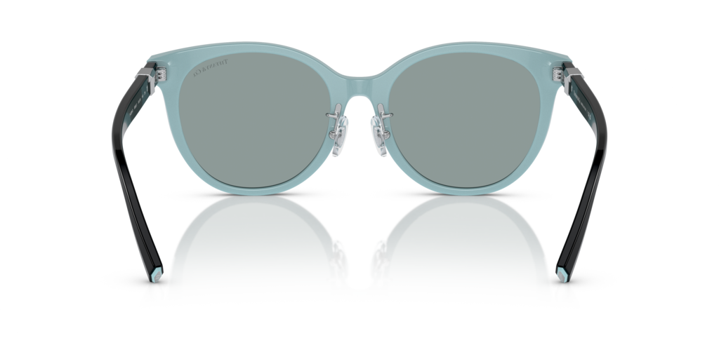Tiffany TF4209D 8055/1 - 54 - Güneş Gözlükleri