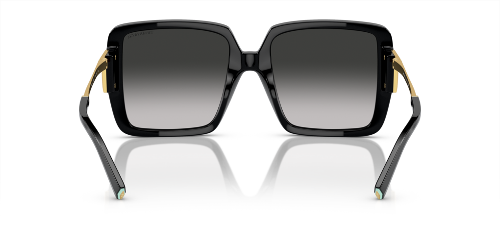 Tiffany TF4212U 80013C - 55 - Güneş Gözlükleri