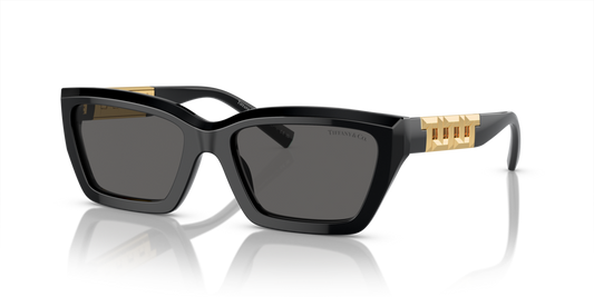 Tiffany TF4213 8001S4 - 54 - Güneş Gözlükleri